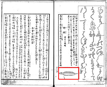 野槌